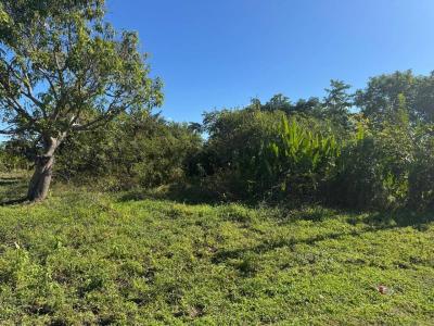 Moxos, Beni 00001, Bolívia