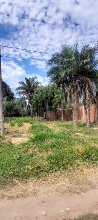 Norte, Santa Cruz 00001, 玻利維亞