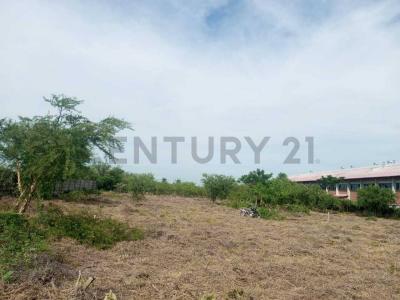 Norte, Santa Cruz 00001, Bolivie