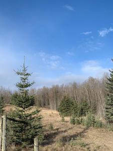 14520 TOWNSHIP ROAD 562, Rural Yellowhead County, Alberta T7E 1P2, Canadá