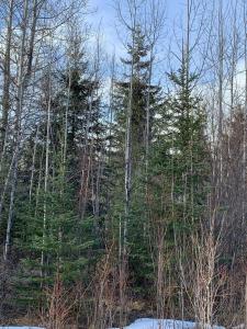 14520 TOWNSHIP ROAD 562, Rural Yellowhead County, Alberta T7E 1P2, Canadá