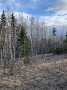 14520 TOWNSHIP ROAD 562, Rural Yellowhead County, Alberta T7E 1P2, Canadá