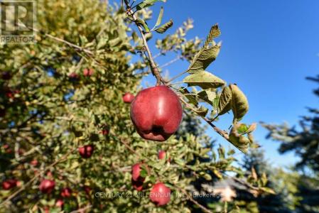 8 CASTLEWOOD COURT, Caledon, Ontario L7K 0C1, CANADÁ