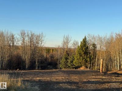 TWP 534 RRD 71, Rural Parkland County, Alberta T0E 0S0, Kanada