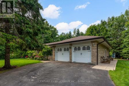 101 BIRCH GROVE, Shelburne, 安大略省 L9W 2W3, 加拿大