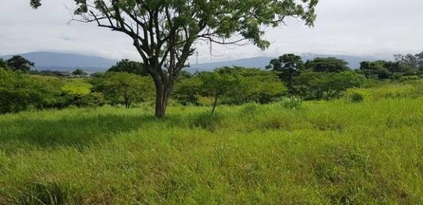 San Rafael Central, Alajuela 00001, Costa Rica