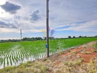 福林段, 平鎮區, تاويوان مدينة 324, تايوان