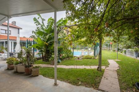 Setubal, Setubal 2900-763, Portugal