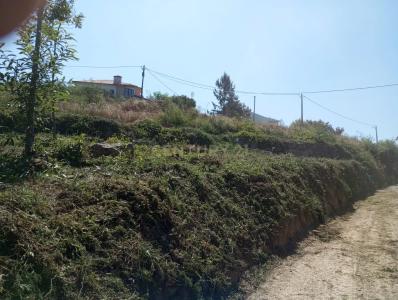 Santa Comba Dão, Viseu 3440-368, Portugal