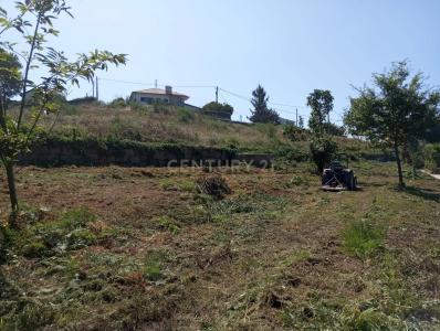 Santa Comba Dão, Viseu 3440-368, Portugal