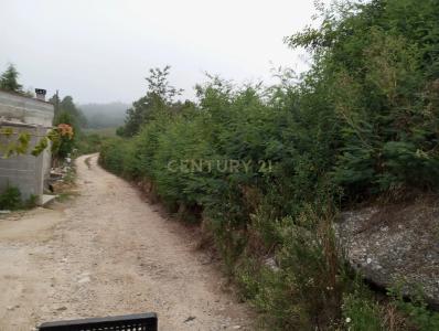 Santa Comba Dão, Viseu 3440-368, Portugal