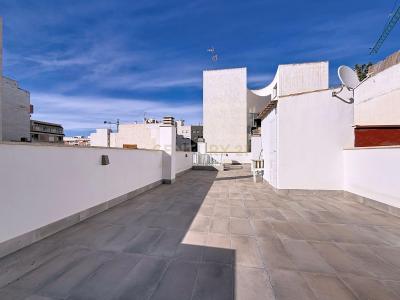 Alacant/Alicante, Comunitat Valenciana 03181, Tây Ban Nha