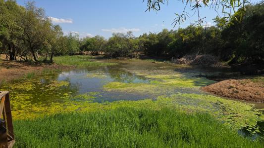 Bela Bela, Limpopo, 南非