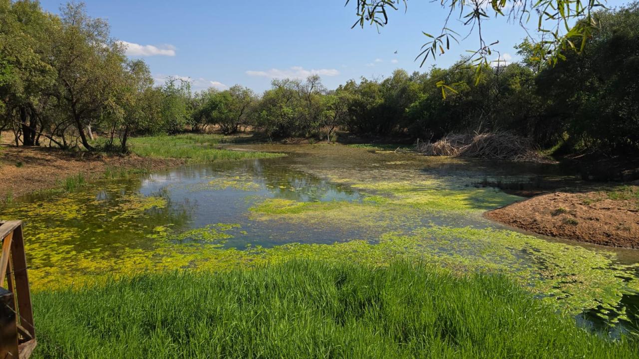 Bela Bela, Limpopo, 南非