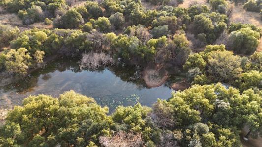 Bela Bela, Limpopo, 南非