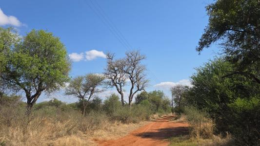 Bela Bela, Limpopo, 南非