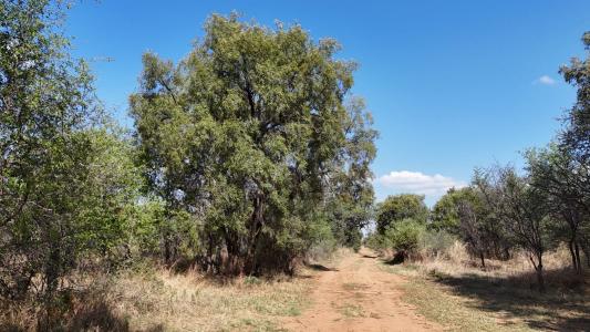 Bela Bela, Limpopo, 南非