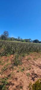 Caaguazú, Caaguazú 00001, Paraguay