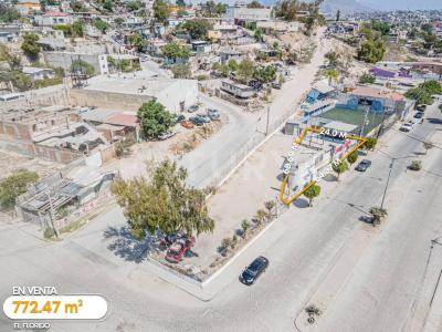calle principal 24008,, Tijuana, Нижняя Калифорния 22727, Мексика