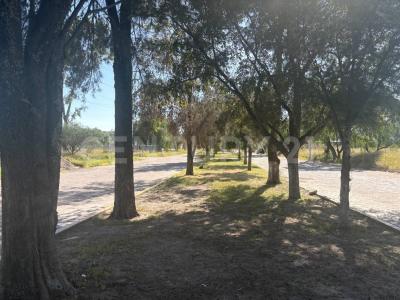 Tio Carlos SN,, El Marqués, 克雷塔罗 76265, 墨西哥