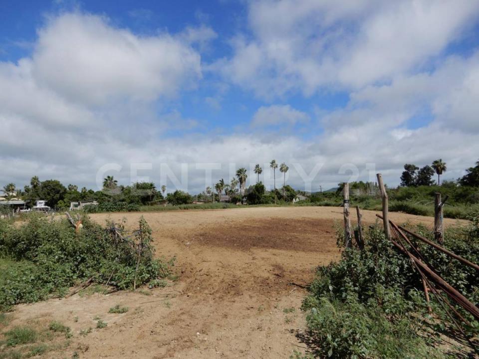 La Paz, 南下加利福尼亚 23300, 墨西哥