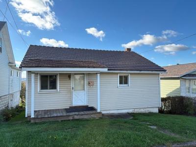 810 Grant Street, Portage, 賓夕法尼亞州 15946, 美國