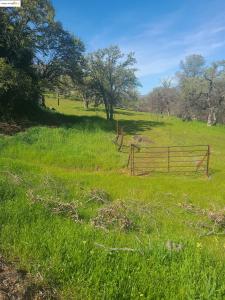 0 Arbolada Drive, La Grange, קליפורניה 95329, ארצות הברית של אמריקה 