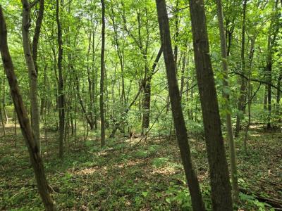 0 Dutch Ridge Rd, Portsmouth, Ohio 45662