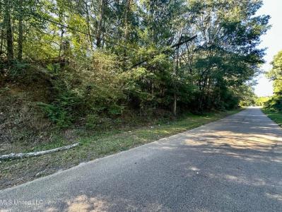 0 Vernon Road, Clinton, Миссисипи 39056, Соединенные Штаты