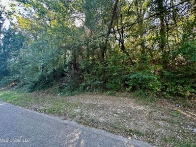 0 Vernon Road, Clinton, Миссисипи 39056, Соединенные Штаты