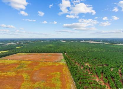 TBD River Bend Rd., Loris, South Carolina 29569