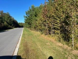 0 Spirit Circle Lot 2, Manchester, 田纳西州 37355, 美国