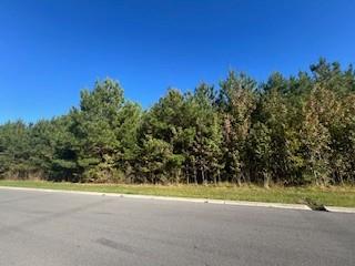 0 Spirit Circle Lot 2, Manchester, 田纳西州 37355, 美国