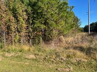 0 Spirit Circle Lot 2, Manchester, 田纳西州 37355, 美国