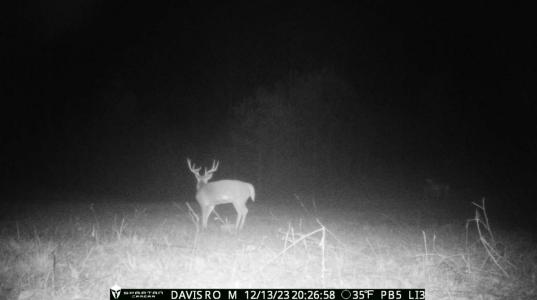 1075 Davis Road, Carrollton, גאורגיה 30116, ארצות הברית של אמריקה 