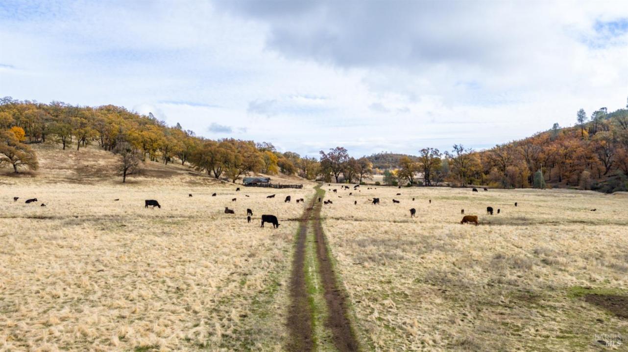 11158 Rocky Creek Road, Lower Lake, California 95457