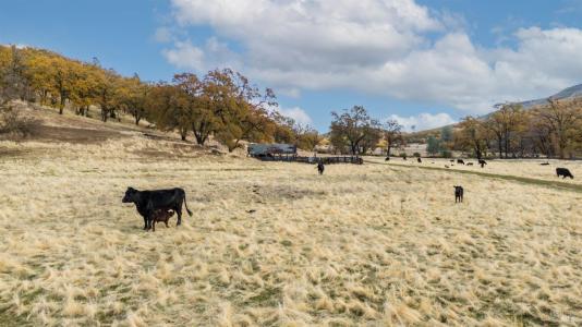 11158 Rocky Creek Road, Lower Lake, California 95457