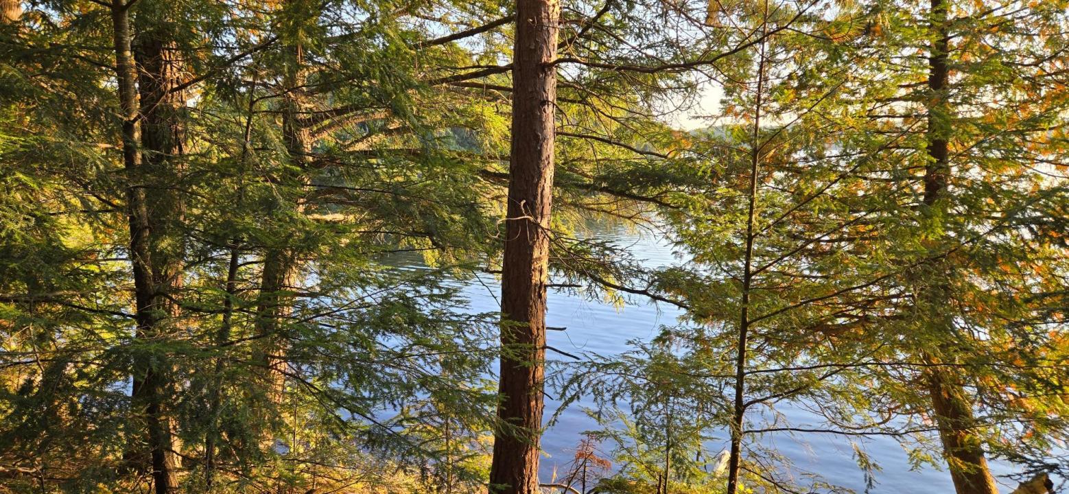 Lot 1 Bartsch Rd, Presque Isle, Wisconsin 54557, USA