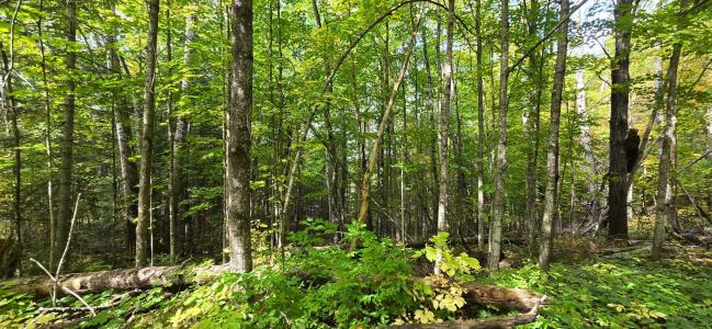 Lot 1 Bartsch Rd, Presque Isle, Wisconsin 54557, USA