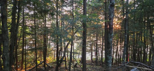 Lot 1 Bartsch Rd, Presque Isle, Wisconsin 54557, USA