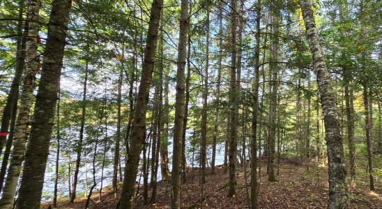 Lot 5 Bartsch Rd, Presque Isle, Висконсин 54557, Соединенные Штаты