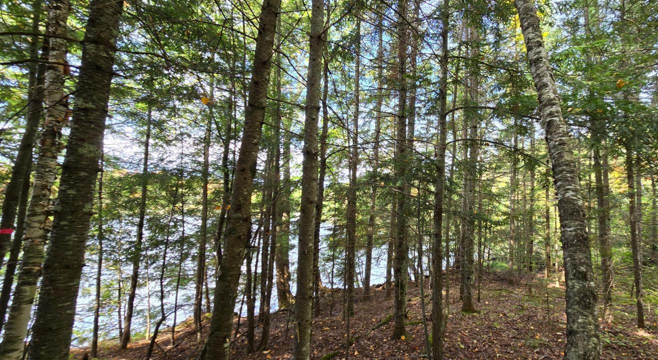 Lot 5 Bartsch Rd, Presque Isle, Висконсин 54557, Соединенные Штаты