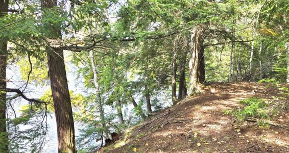 Lot 5 Bartsch Rd, Presque Isle, Висконсин 54557, Соединенные Штаты