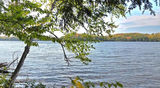 Lot 5 Bartsch Rd, Presque Isle, Висконсин 54557, Соединенные Штаты