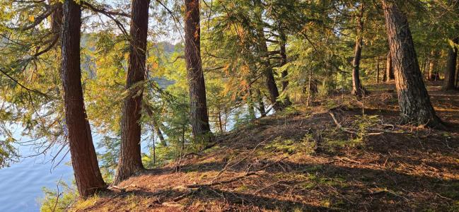 Lot 2 Bartsch Rd, Presque Isle, Wisconsin 54557, USA