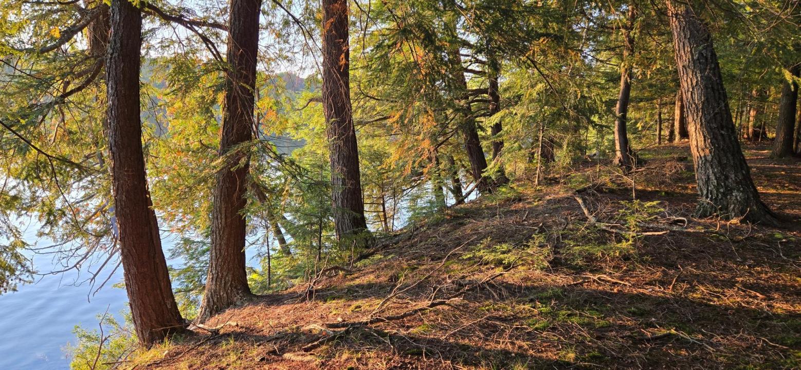 Lot 2 Bartsch Rd, Presque Isle, 威斯康辛州 54557, 美国