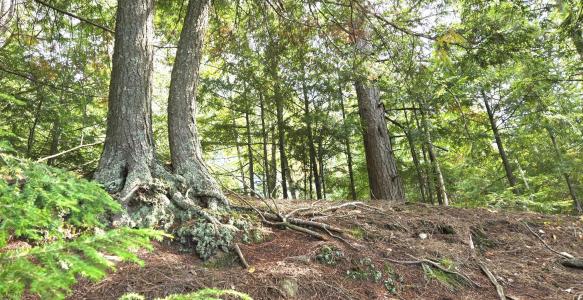 Lot 2 Bartsch Rd, Presque Isle, 威斯康辛州 54557, 美国