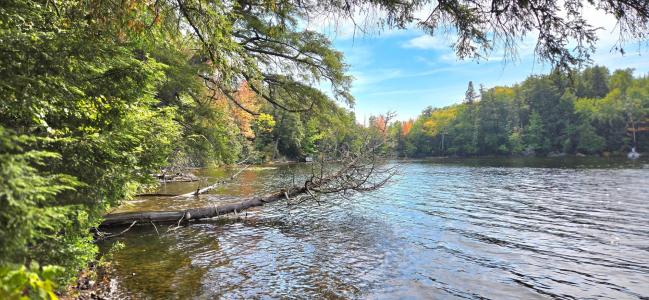 Lot 2 Bartsch Rd, Presque Isle, 威斯康辛州 54557, 美国