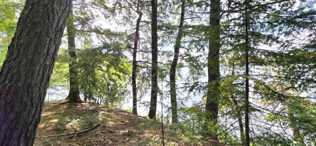 Lot 2 Bartsch Rd, Presque Isle, 威斯康辛州 54557, 美国