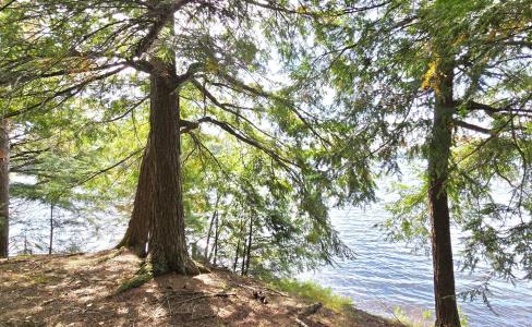 Lot 4 Bartsch Rd, Presque Isle, Wisconsin 54557, Stati Uniti